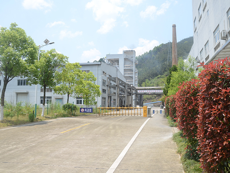 Company Environment