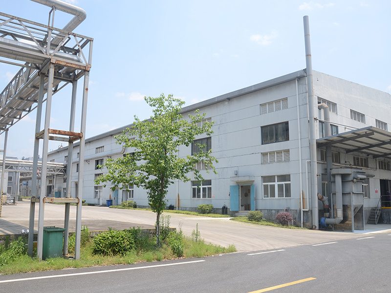 Company Environment